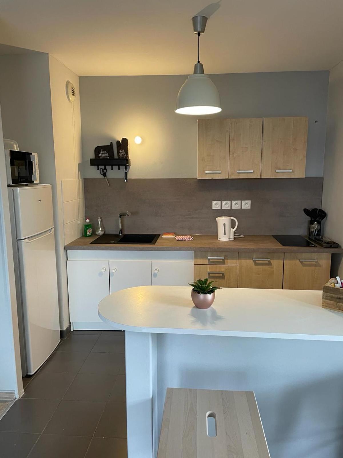 Appartement 2 Chambres Avec Terrasse Et Garage Saint-Andre-lez-Lille Esterno foto